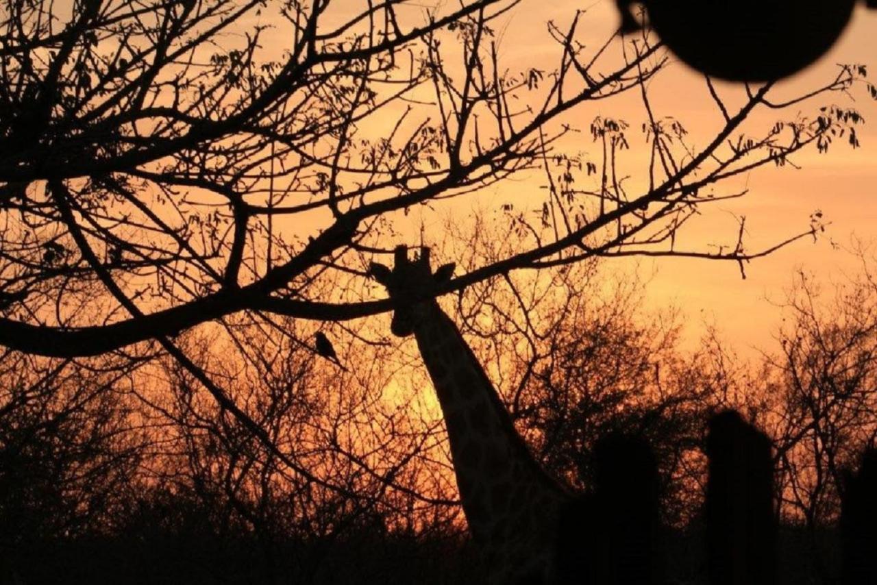 Bushvilla Umoja Kruger Phalaborwa Exterior foto